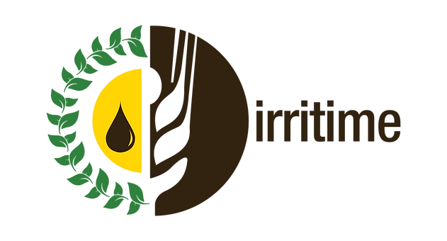 Irritime