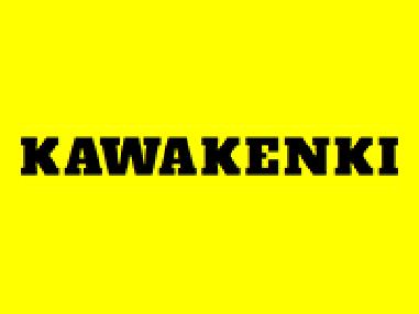 KAWAKENKI