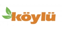 Koylu