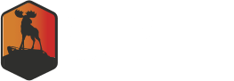 ВМЗ