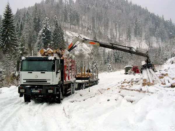Бревнозахват VTN 93RV94