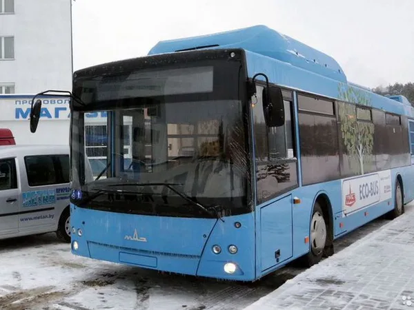 Автобус МАЗ 203965 (городской)
