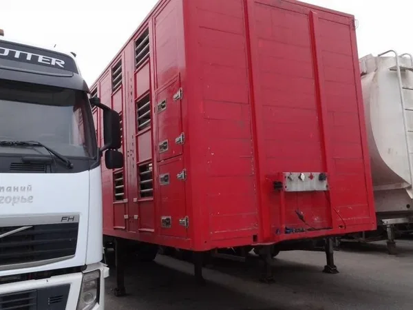 Полуприцеп скотовоз Auto-Chlodnia NC39
