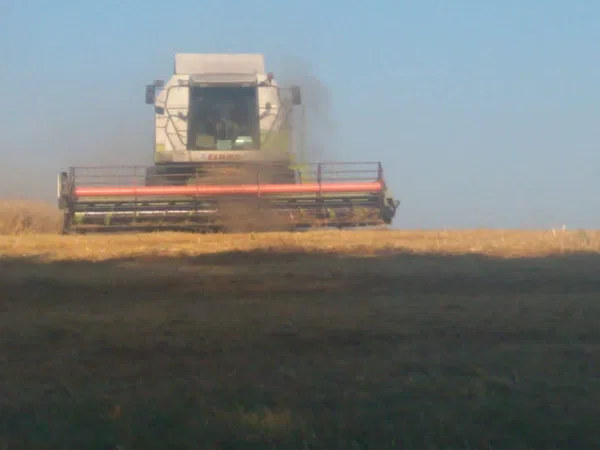 Зерноуборочный комбайн Claas Mega 360