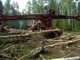 Сучкорезная машина ЛесМаш ЛП 33Б