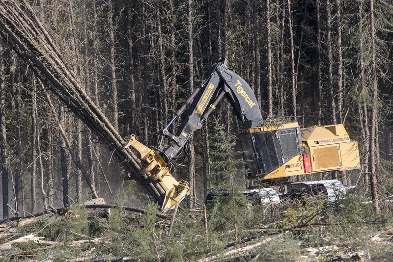 Валочно-пакетирующая техника TigerCat 870C