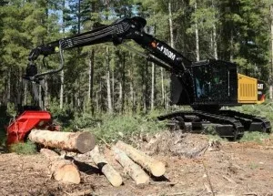 Валочно-пакетирующая техника Caterpillar DM