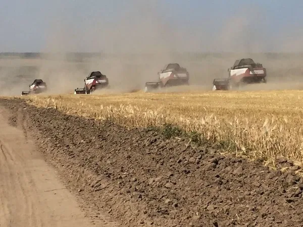 Уборка всех видов культур по всей России