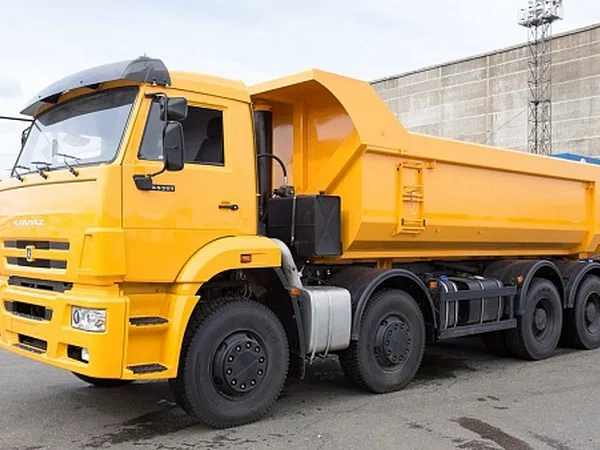 Самосвал КамАЗ 65201-001-49