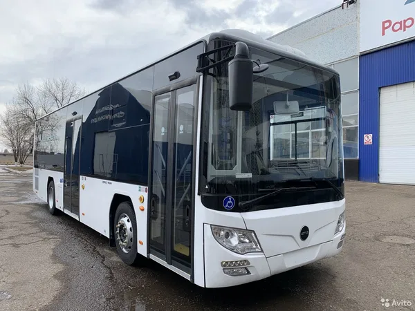 Автобус Lotos (Лотос) 105