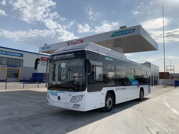 Автобус Lotos (Лотос) 105
