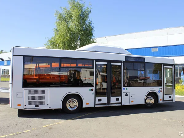 Автобус Lotos 206