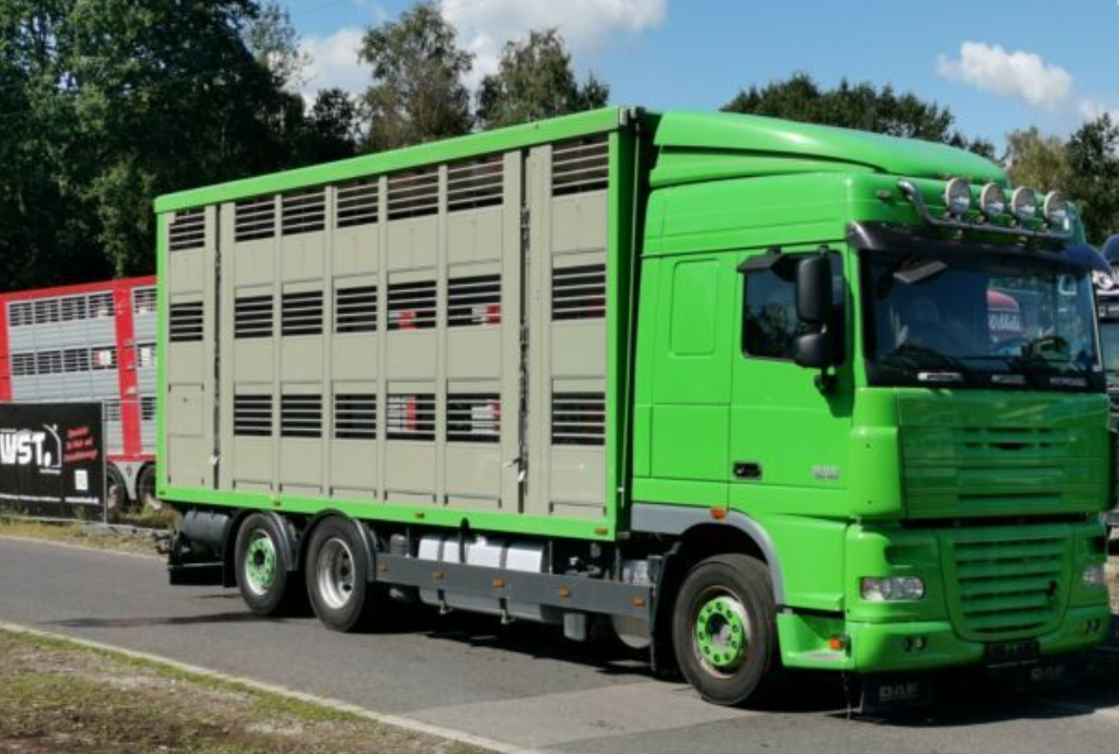 Скотовоз DAF XF 105/460 SC Menke 3 Stock Hubdach
