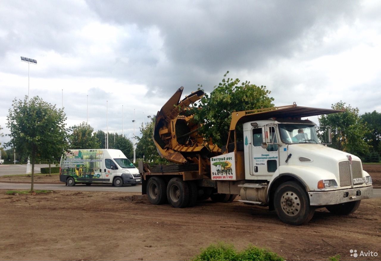 Пересадчик деревьев Kenworth T-300