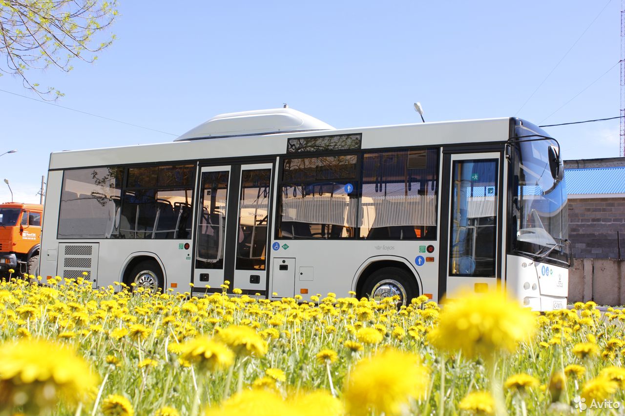 Автобус Lotos (Лотос) 206