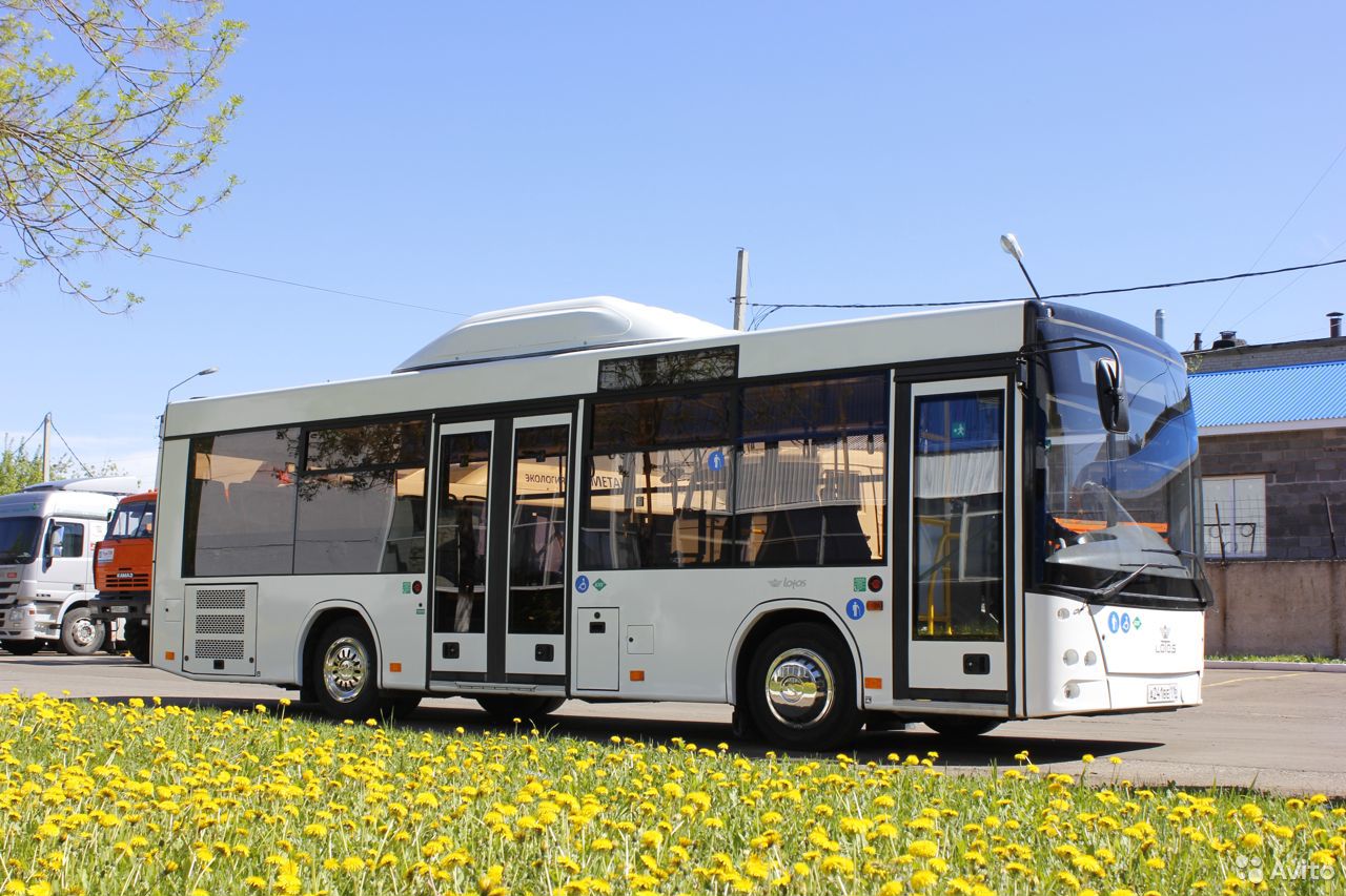 Автобус Lotos (Лотос) 206 на метане