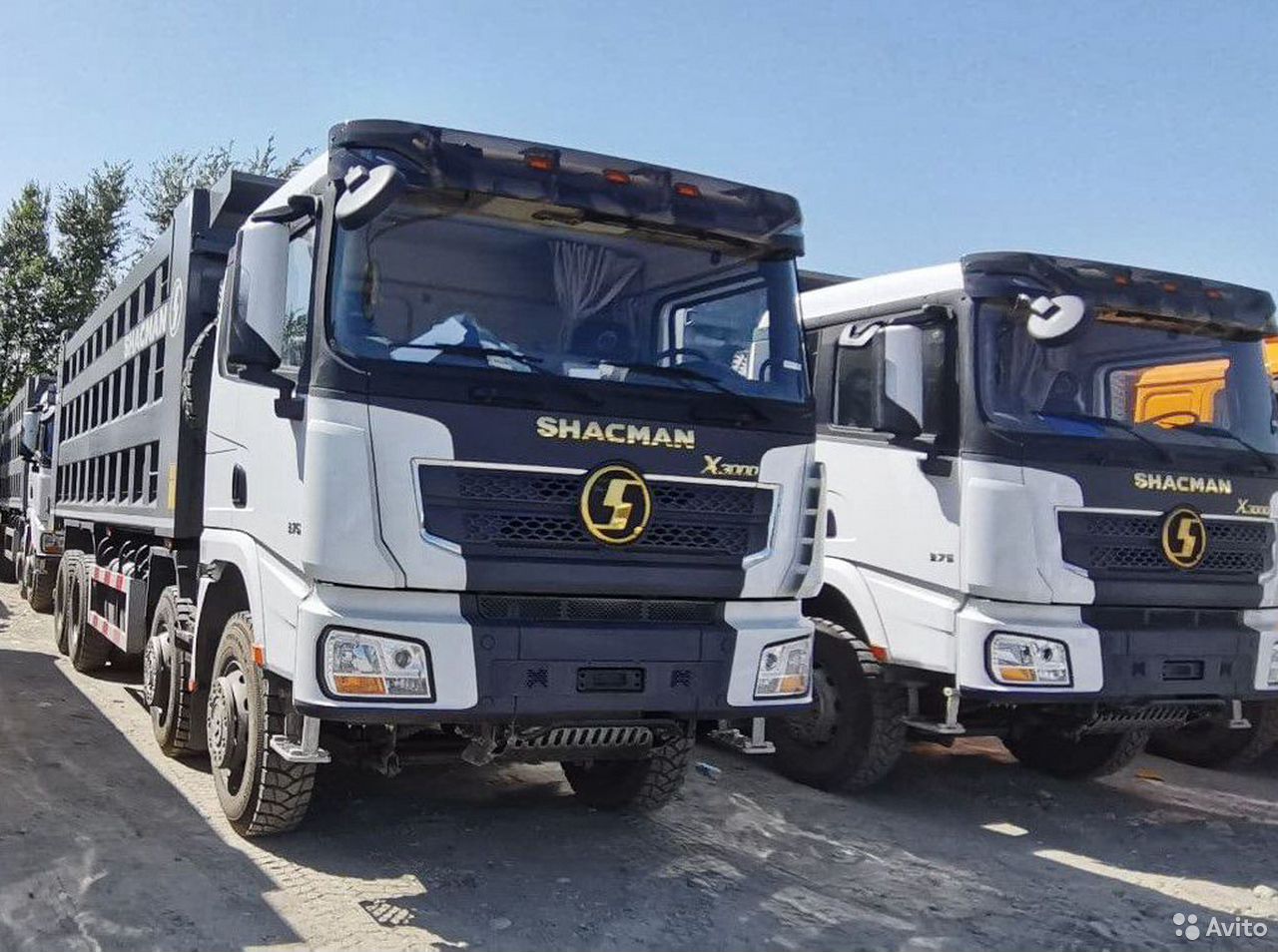 Самосвал SHACMAN (Shaanxi) SX3318DT366 X3000